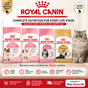 Royal canin